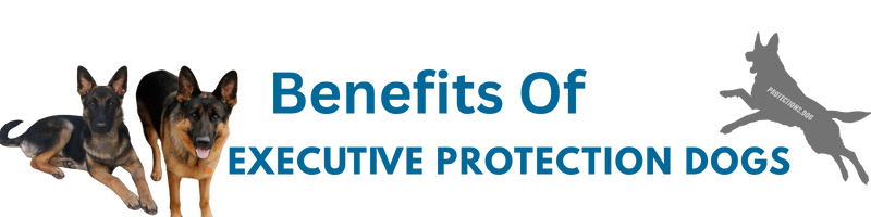 Benefits Of Executive Protection Dogs
