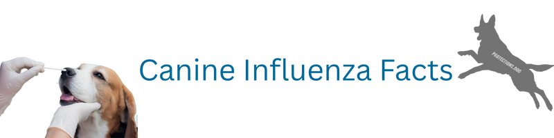 Canine Influenza Facts