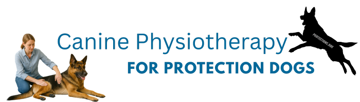 Canine Physiotherapy for Protection Dogs