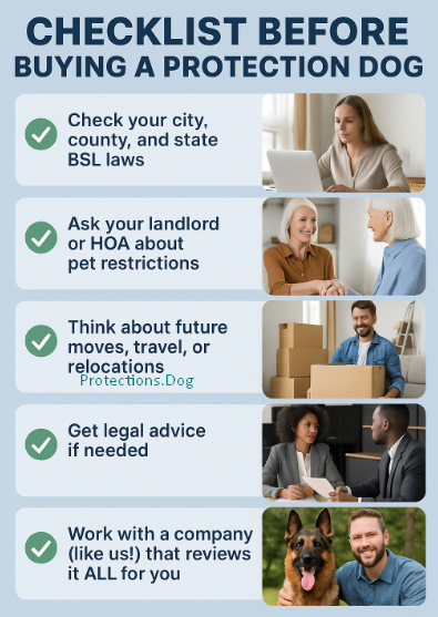 Checklist Before Buying A Dog