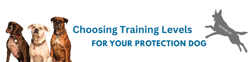Choosing Training Levels for Your Protection Dog