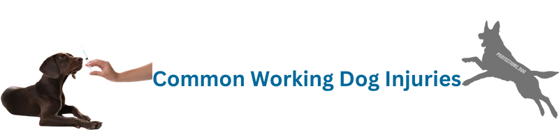 Common Working Dog Injuries