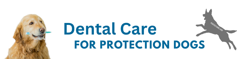 Dental Care For Protection Dogs