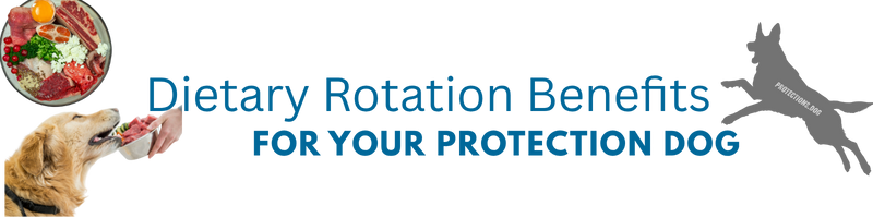 Dietary Rotation Benefits for Your Protection Dog