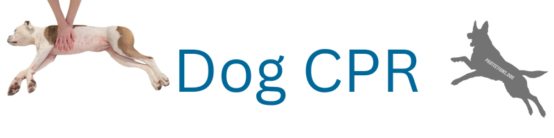 DOG CPR