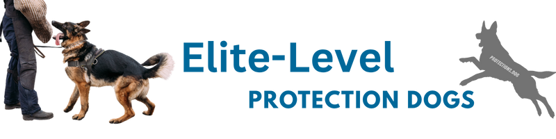 Elite-Level Protection Dogs