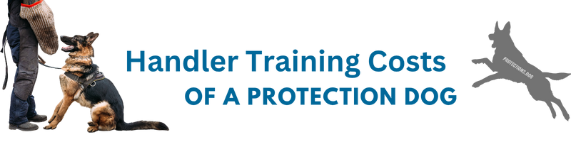 Handler Training Cost of A Protection Dog