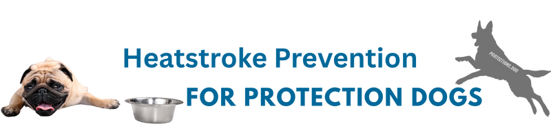 Heatstroke Prevention for Protection Dogs