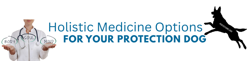 Holistic Medicine Options for Your Protection Dog