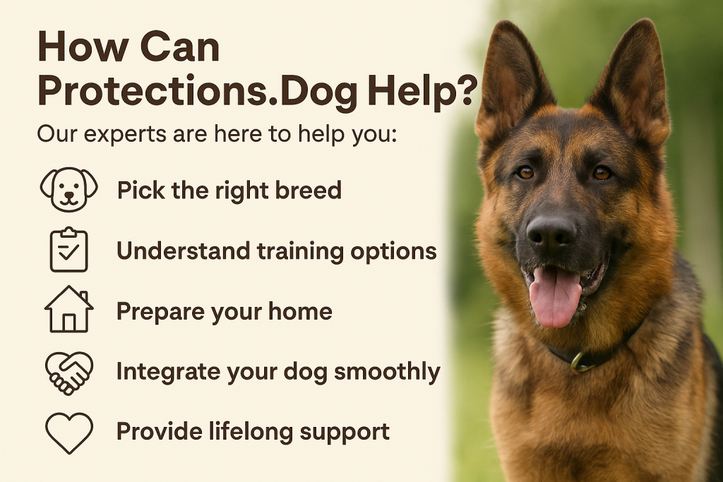 How Can Protections.Dog Help