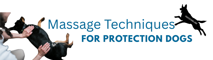 Massage Techniques for Protection Dogs