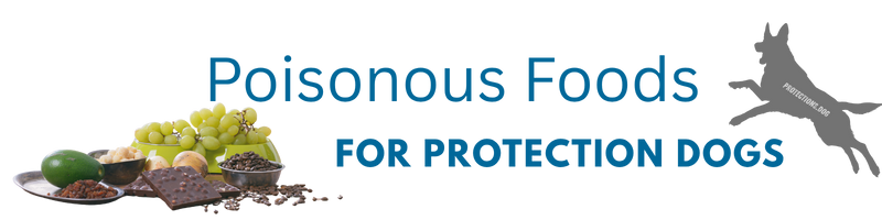 Poisonous Foods for Protection Dogs