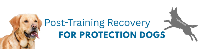 Post-Training Recovery For Protection Dogs