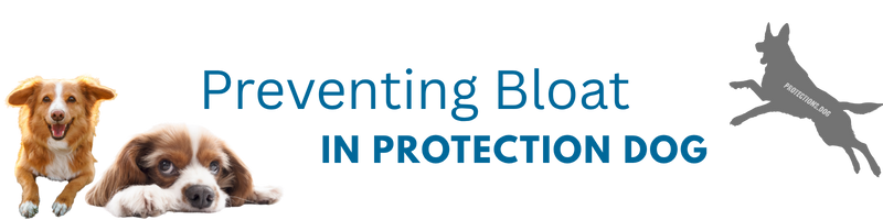Preventing Bloat in Protection Dogs