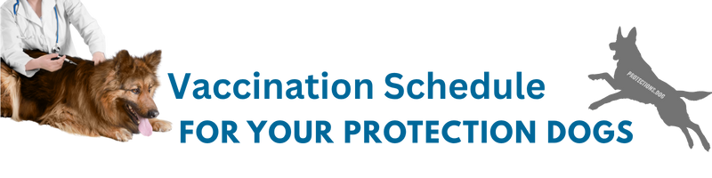 Protection Dog Vaccination Schedule