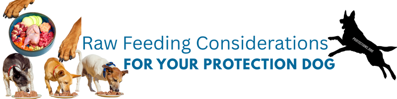 Raw Feeding Considerations for Your Protection Dog
