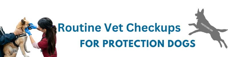 Routine Vet Checkups for Protection Dogs
