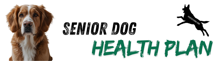 Senior Dog Health-Plan