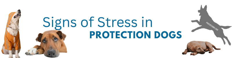 Signs of Stress in Protection Dogs