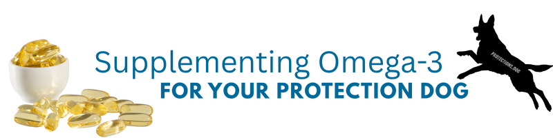 Supplementing Omega-3 for Your Protection Dog
