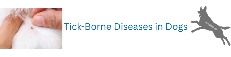 Tick-Borne Diseases in Dogs