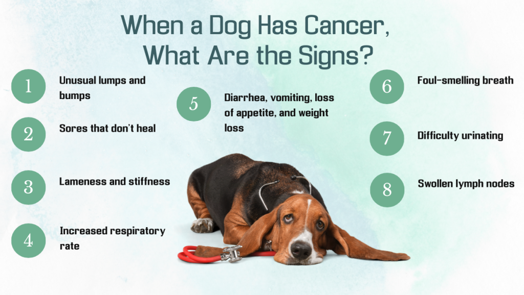 Early Warning Sign Of Cancer in Protection Dog