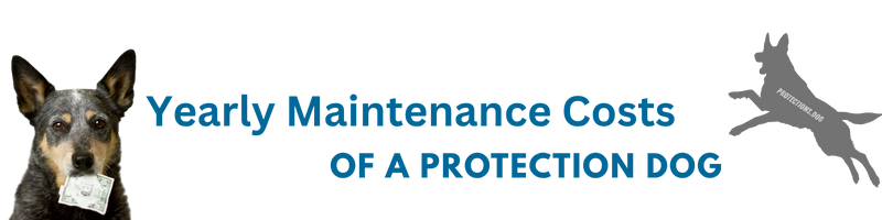 Yearly Maintenance Costs of a Protection Dog